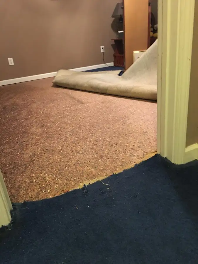 Carpet pad removal revealing water damage during Drying & Dehumidification in Chicago Heights