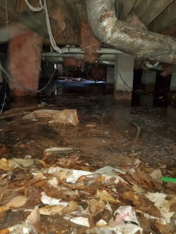 Crawl space flood assessment for Commercial Water Damage Restoration in Chicago Heights